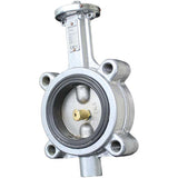 3" butterfly valve