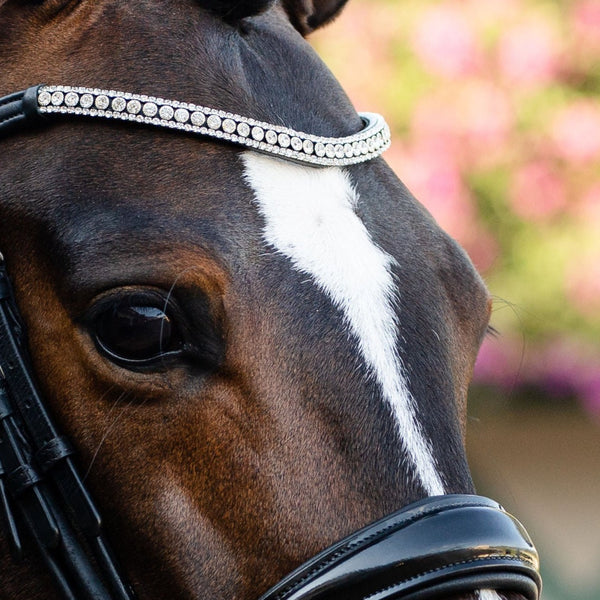 Amie\' Rolled Leather Bridle (Hanoverian) Lumiere – Equestrian