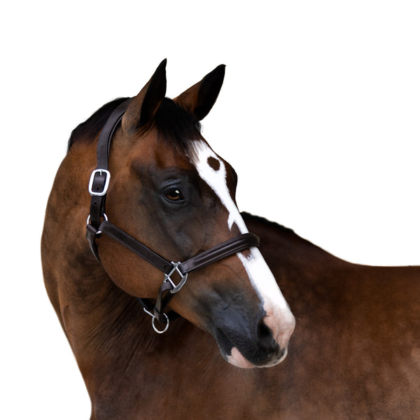 The Therapeutic Horse Halter With Copper/Magnetic Buttons - Leather