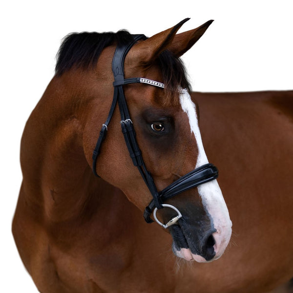 Amie\' Rolled Leather Bridle (Hanoverian) – Lumiere Equestrian