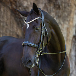 'Madeline' Italian leather double bridle - Lumiere Equestrian