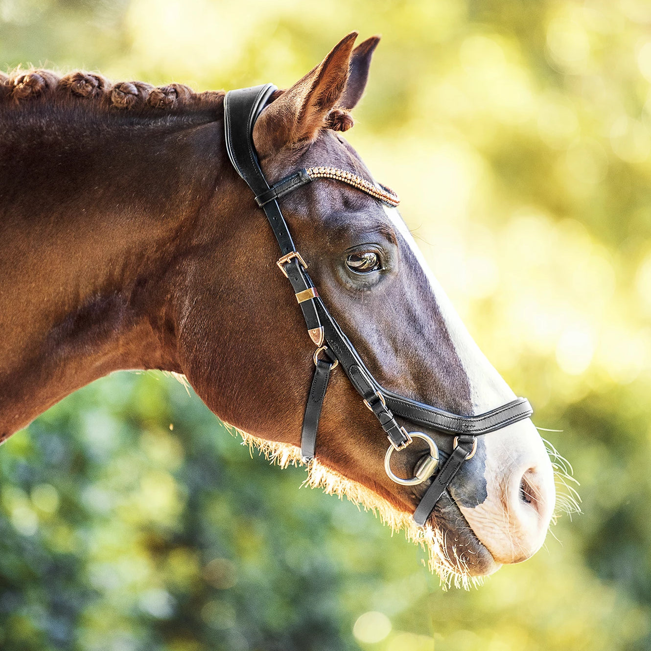 Micklem Bridle Size Chart