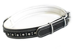 Double Stack Luxury Dog collar
