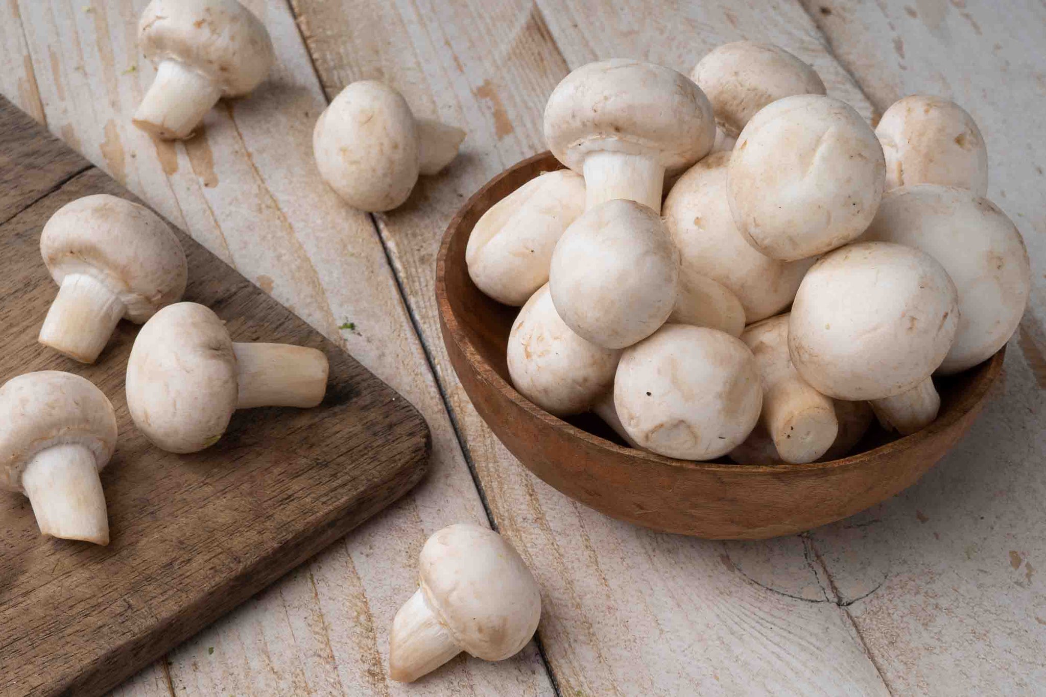 Organic Button Mushroom – GreenDNA® India