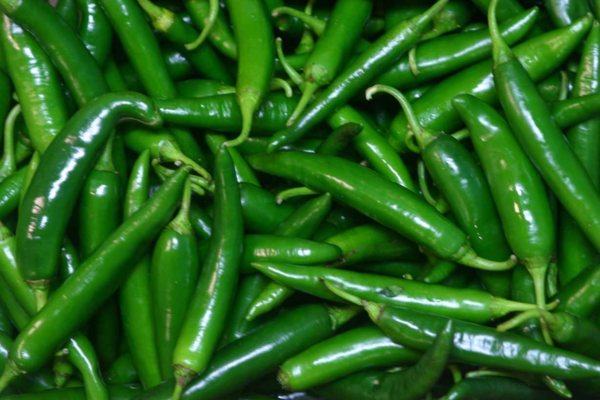 Organic Green Chilli – GreenDNA® India