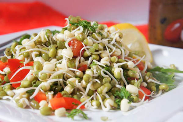 Organic Moong Sprouts & Fresh Veggies Salad Pack – GreenDNA® India