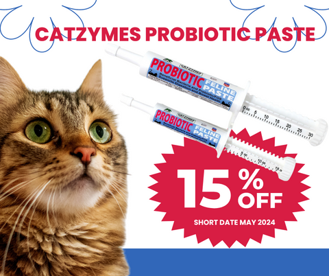 picture of a cat looking at probiotic paste tubes - 15% off short date to May 2024