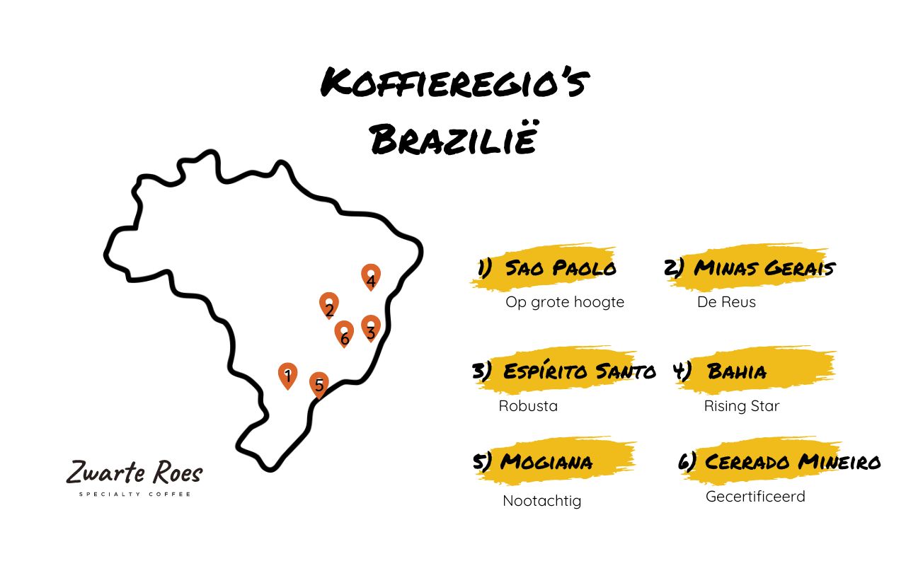 Brazil coffee guide infographic