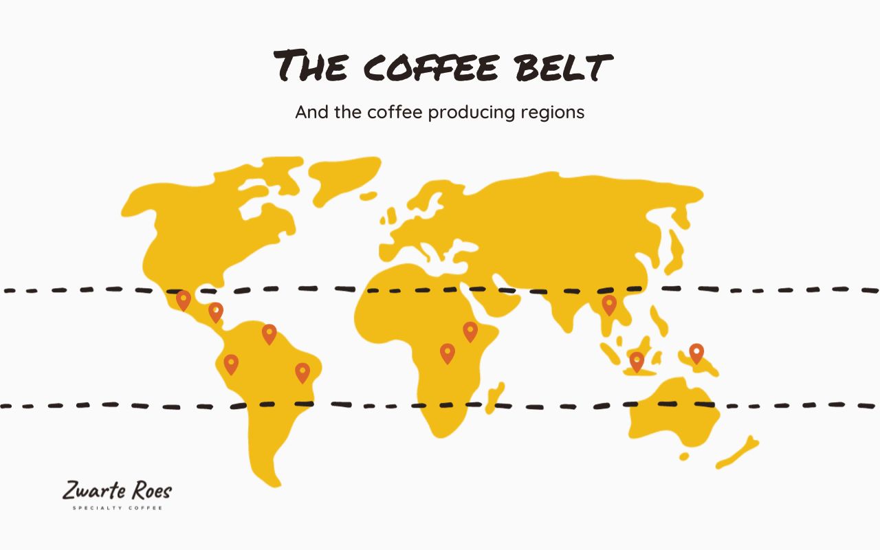 where coffee comes from