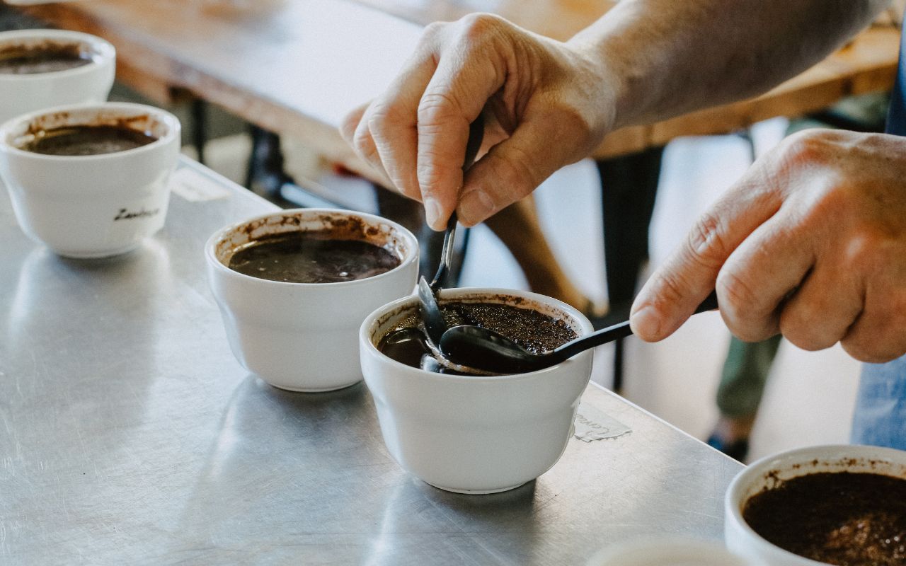 specialty coffee cupping