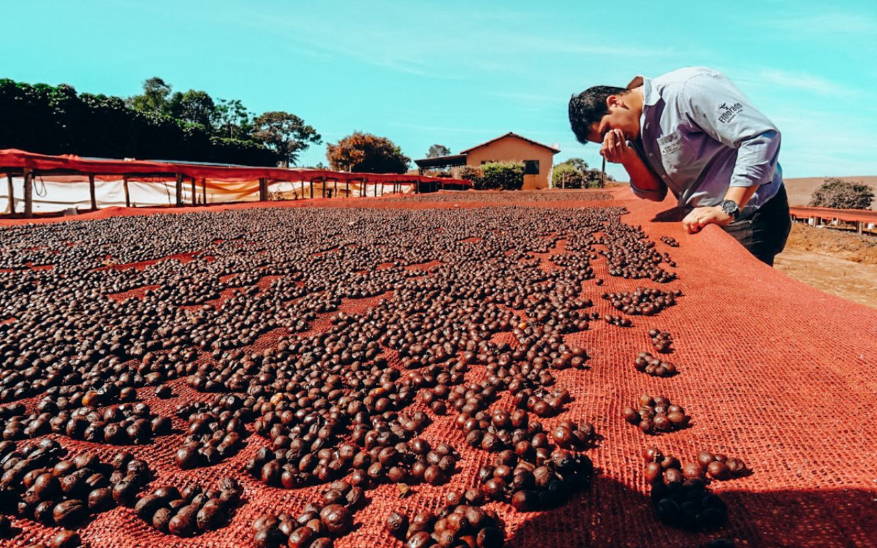 specialty coffee processing method