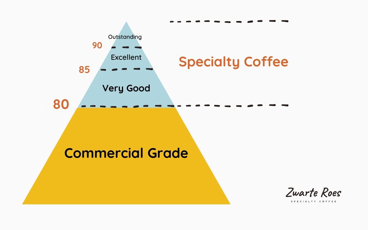 specialty coffee pyramid