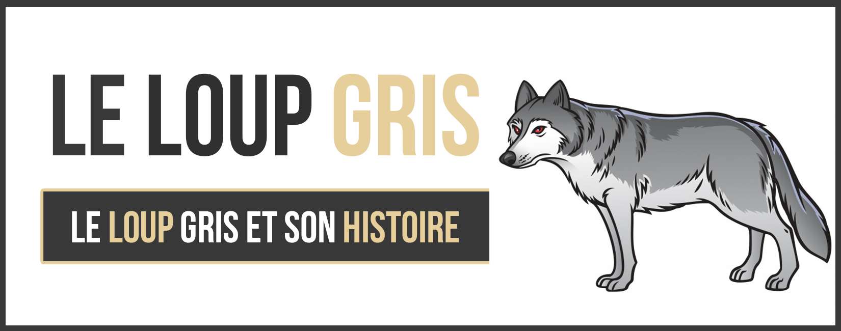 Le Loup Gris Louragan