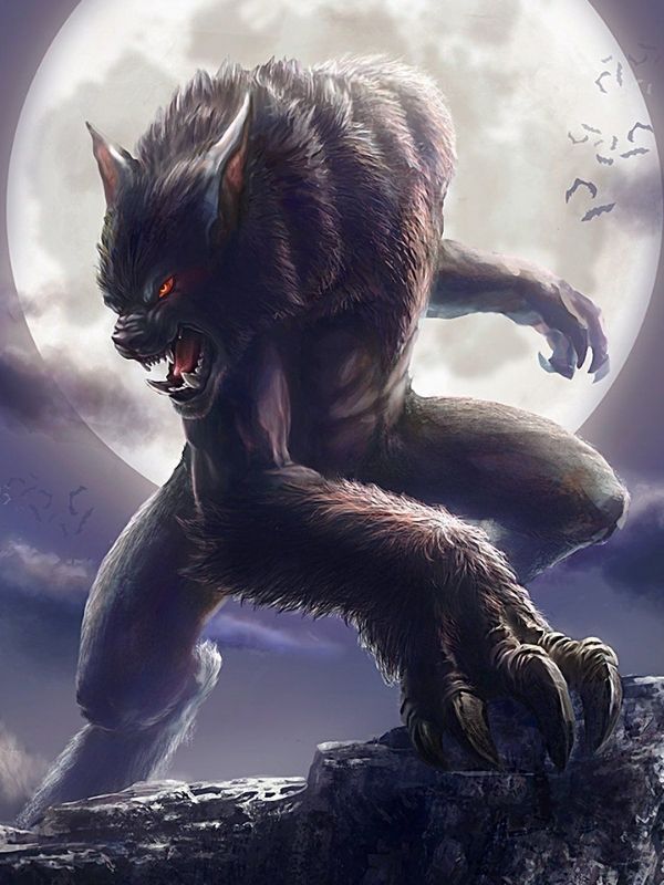 Histoires vraies de loup-garou