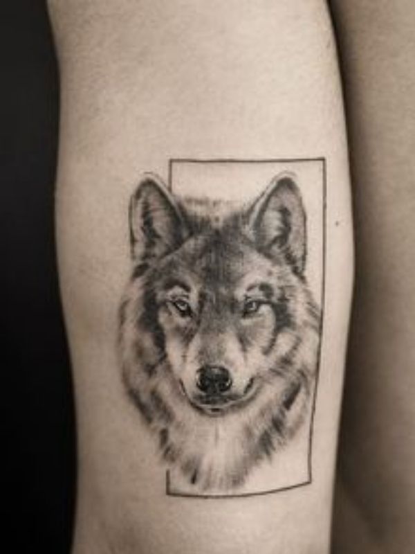 la signification du tatouage du loup gris pour un homme