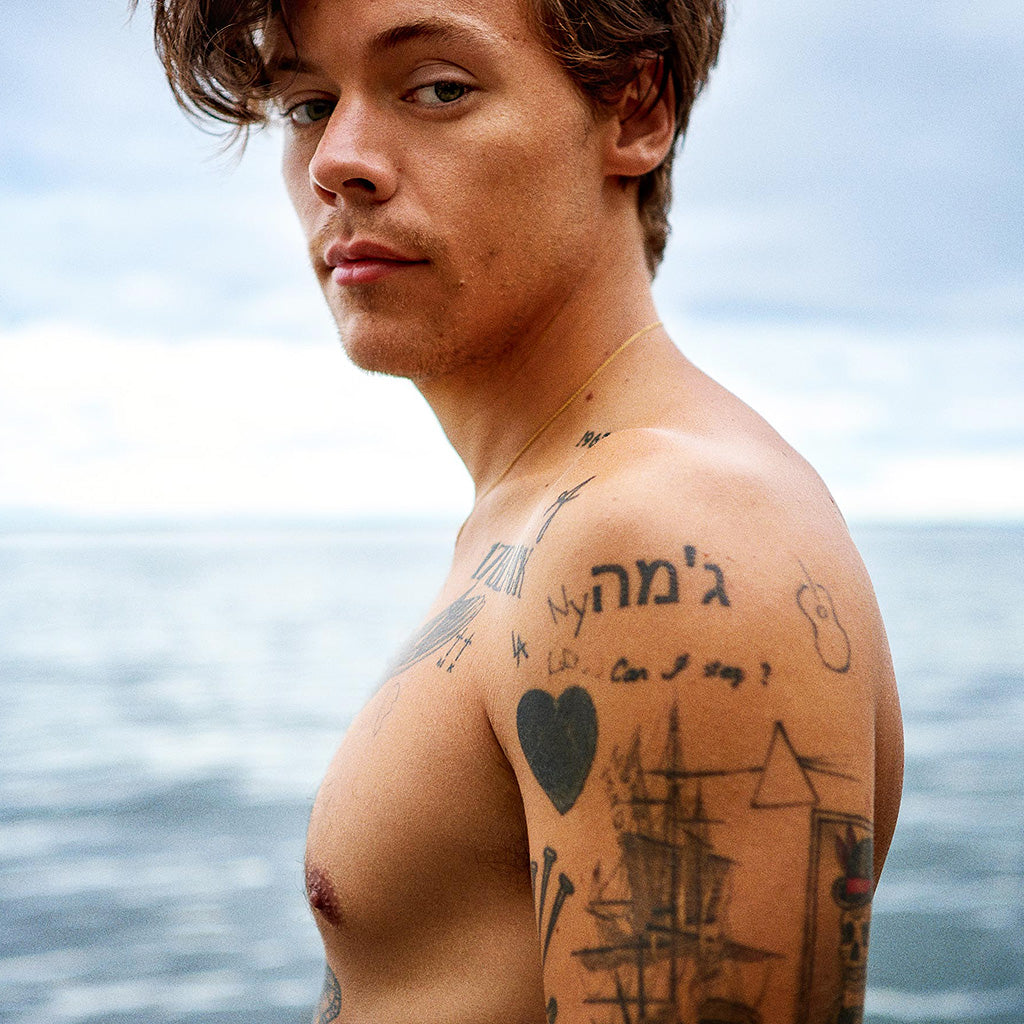 Harry Styles Temporary Tattoos Set TattooIcon