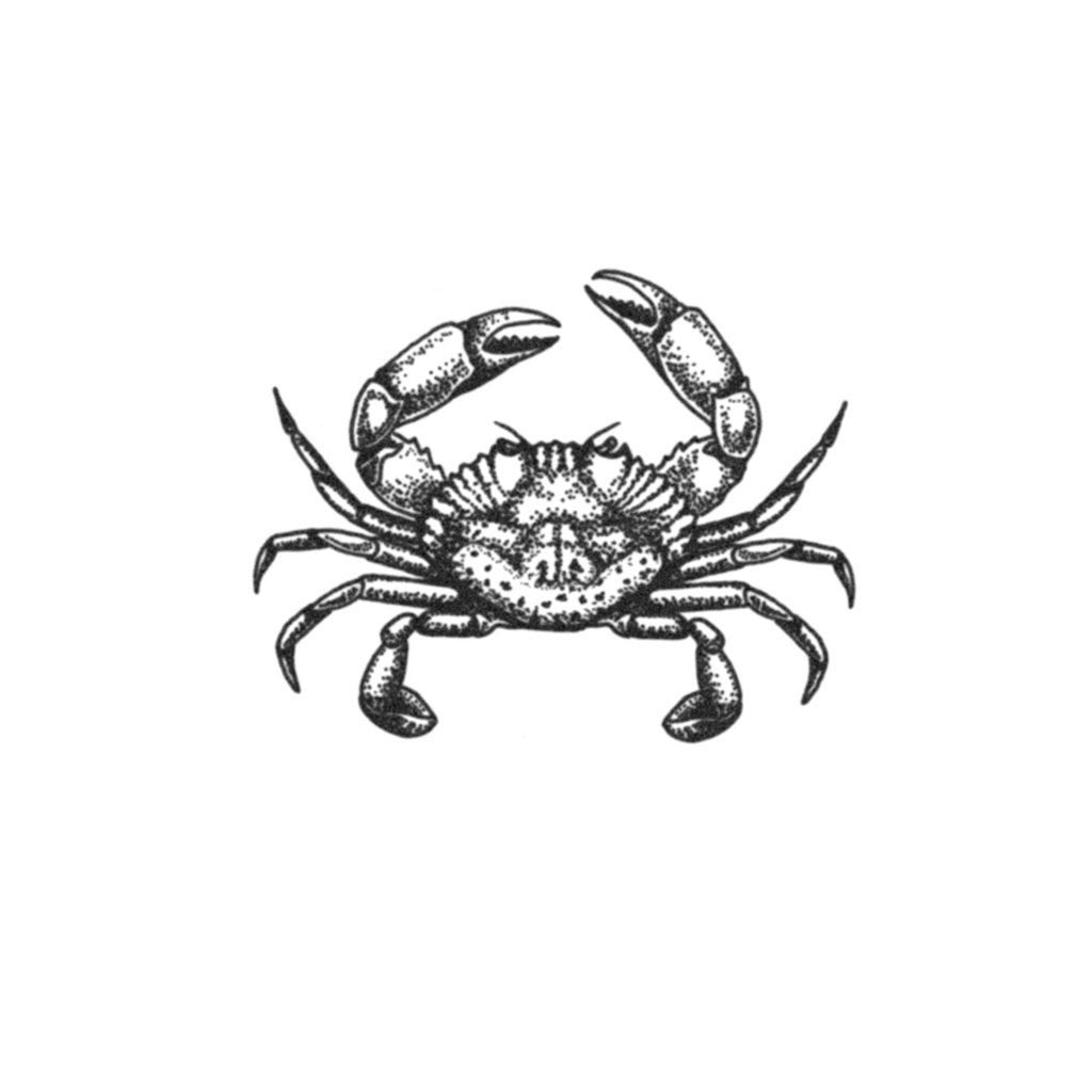 𝐍𝐚𝐦 𝐍𝐠𝐮𝐲𝐞𝐧 on Instagram Hermit crab bunnytatt2     simpletattoo lineworktattoo minimalist ink tattoodesign tattoo  tattoos tattooart tattooshop
