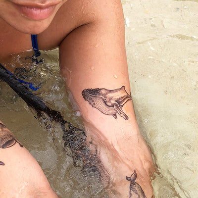 Elephant squid tattoo  Daily Tattoos
