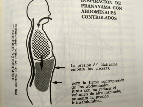 Inhalación con control de la cintura abdominal