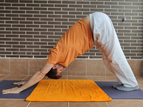 Adho Mukha Shvanasana