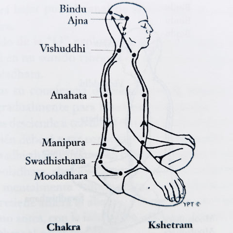 Chakras y Kshetrams