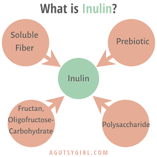 inulin pathways