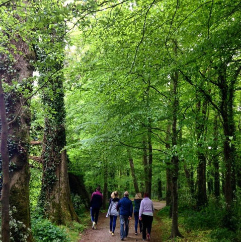 Doneraile Wildlife Park