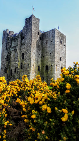 Trim Castle