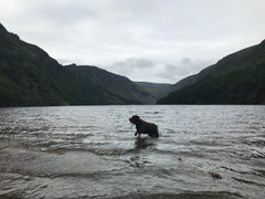 Glendalough