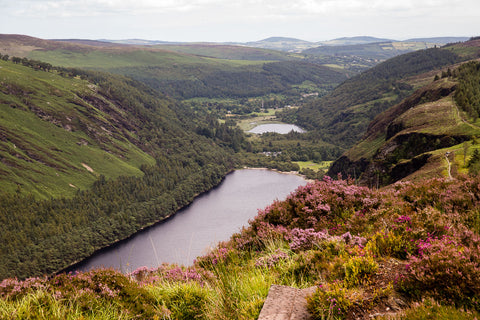 Glendalough Lakes, County Wicklow