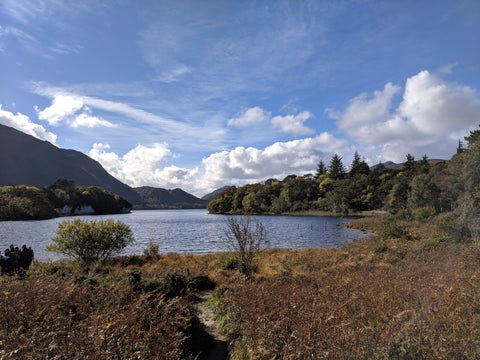 Muckross House Lakes