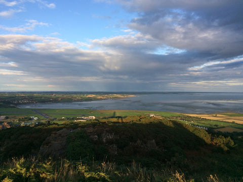 The views from Scrabo Tower, County Down