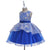 Children's Princess Dress,Dance Performance Dress