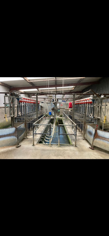 milking parlour