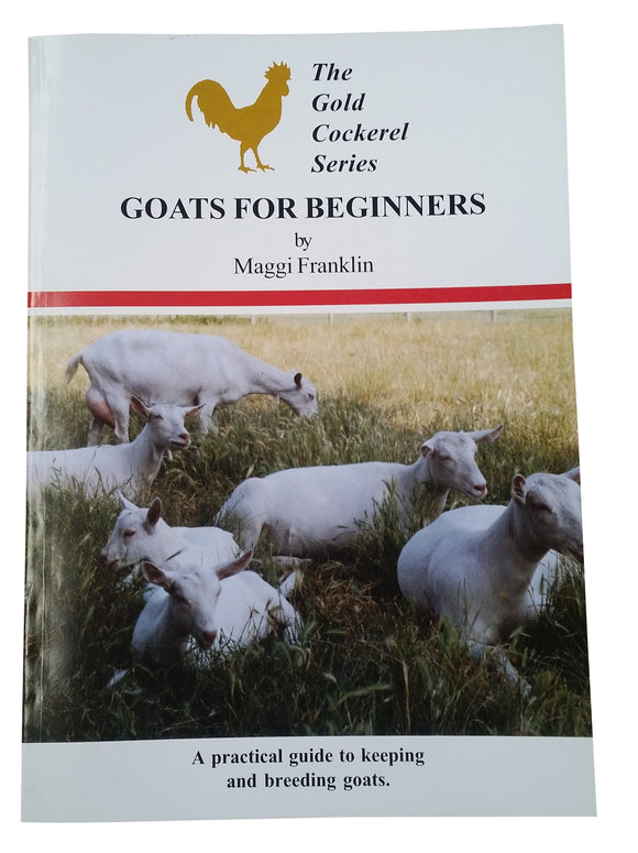 feast of the goat book