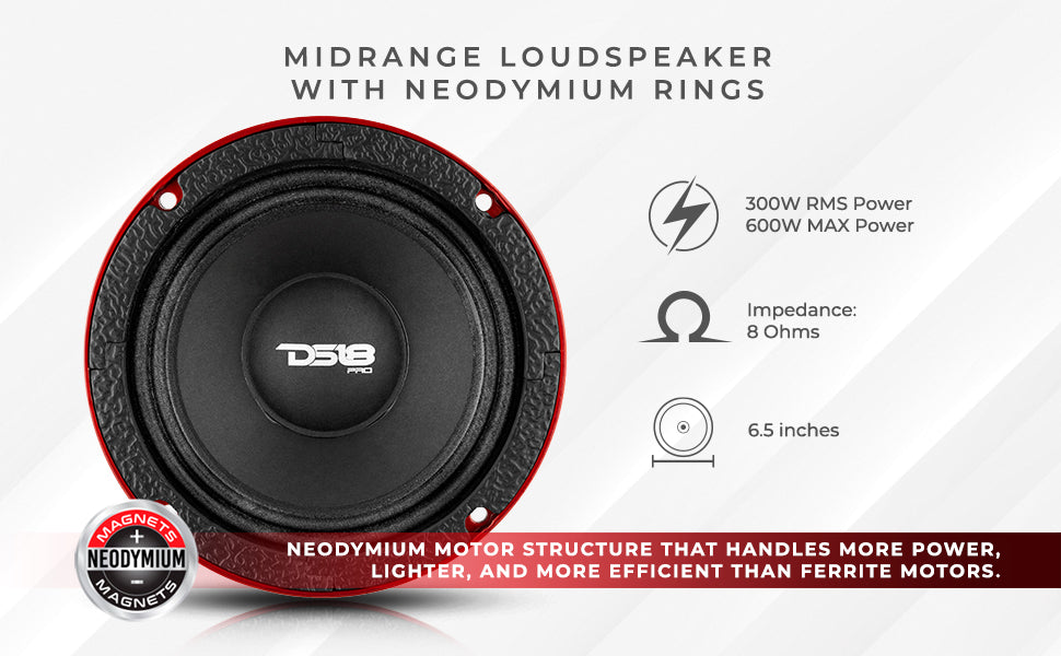 neodymium rings mid-range loudspeakers 600 watts