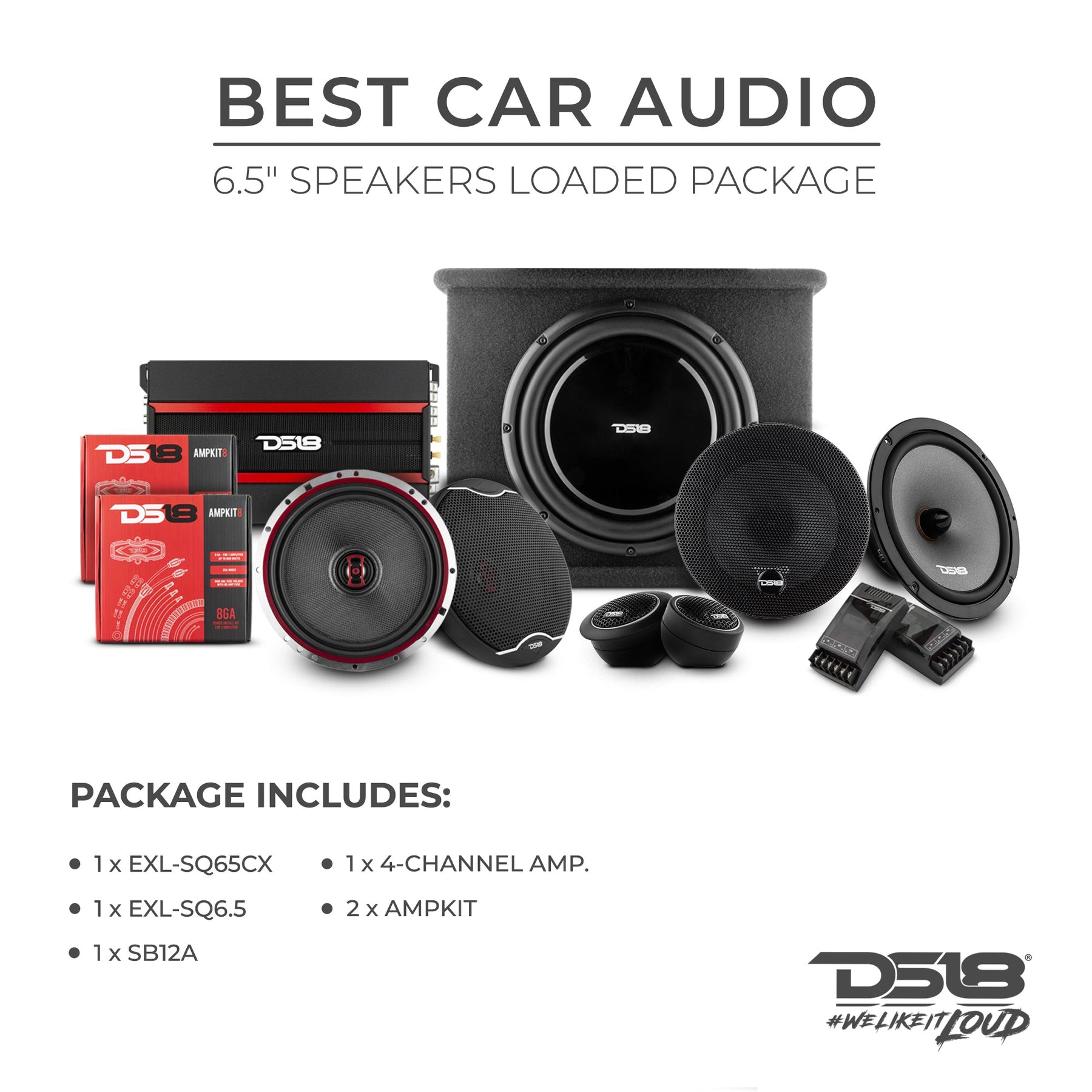 tale mikroskopisk Beregning DS18 Best Car Audio Package