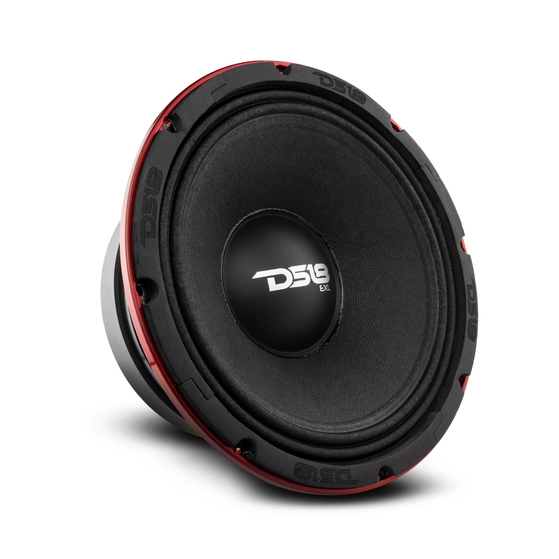 ds18 speakers 10 inch