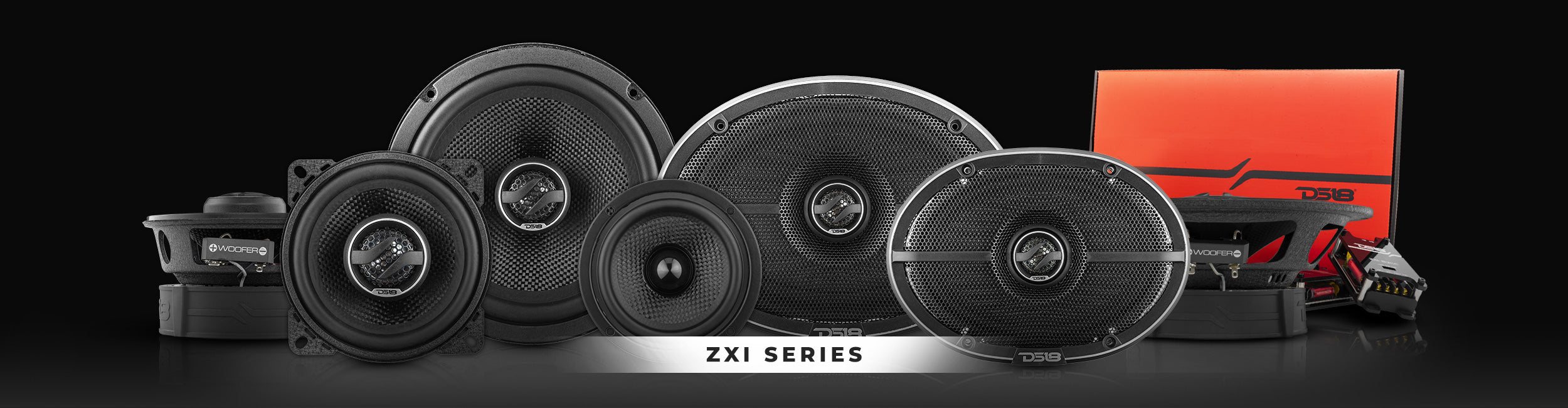 DS18 ZXI COAXIAL SPEAKERS