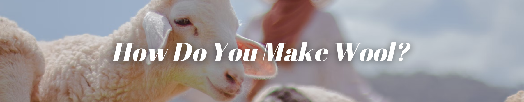 How Do You Make Wool?