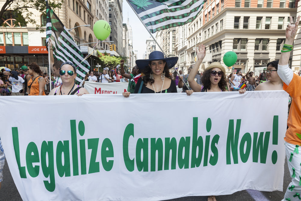 people holding up legalize cannabis in parade