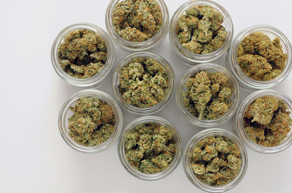 cannabis flower in jars