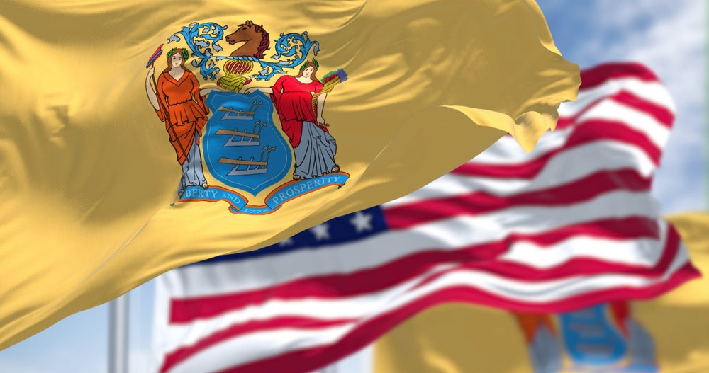 new jersey state flag