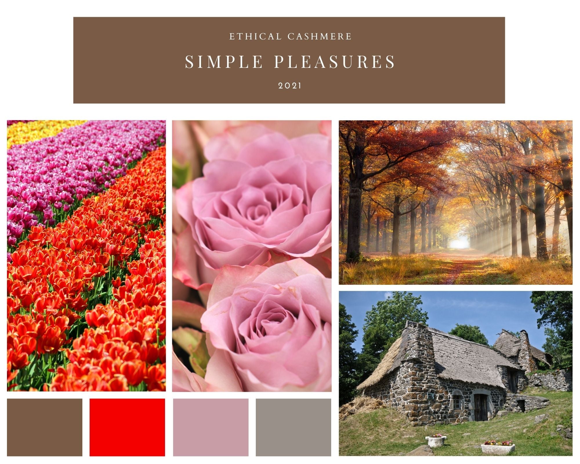 Collage of images depicting purple and vermillion rows of flowers, close-up of lilac antique roses, autumn forest, and slate grey stone cottage, providing colour inspiration for Ethical Cashmere's 2021 Simple Pleasures fall season.