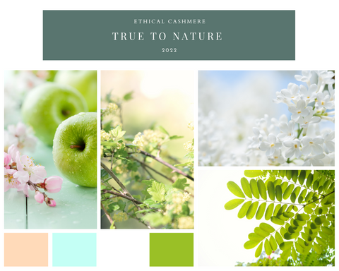 Mood board for Ethical Cashmere's 2022 True to Nature inspiration