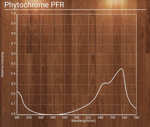 Phytochrome pfr