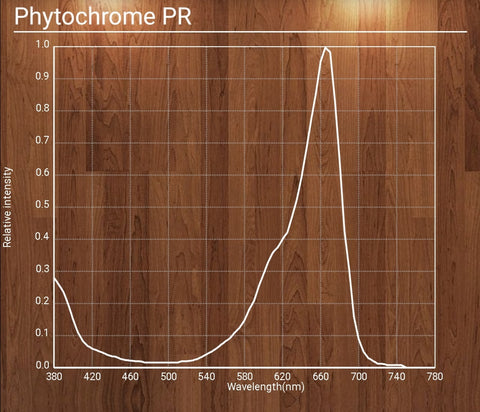 photochrome pr