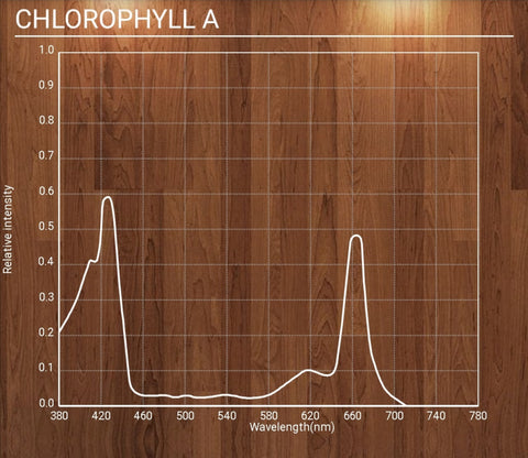 chlorophyll A