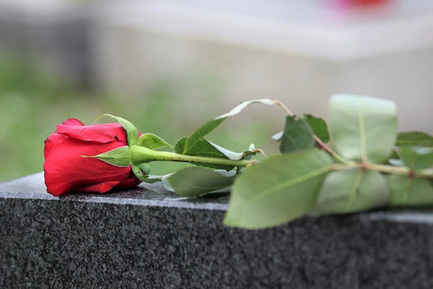 Red rose on gravestone