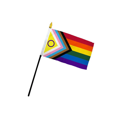 Large Progress Pride Flag